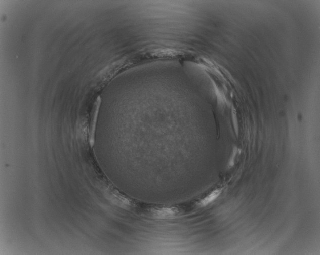 X0000067840513200604271623