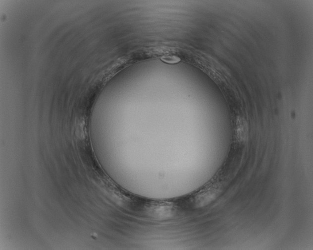 X0000067840514200604271623