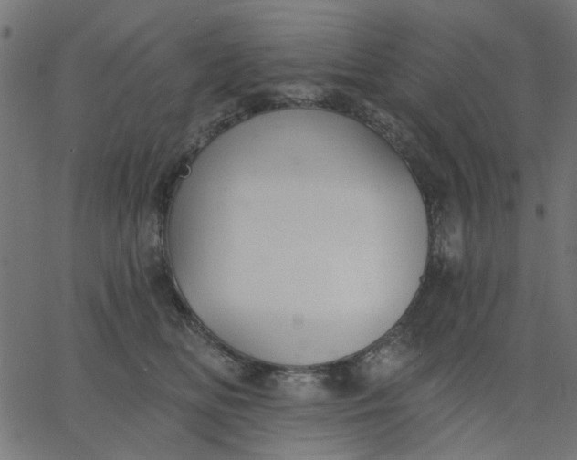 X0000067840518200604271623