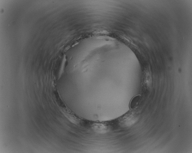 X0000067840519200604271623