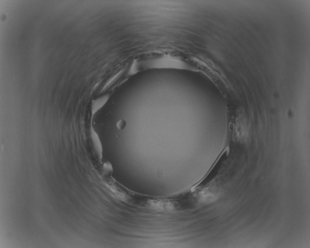 X0000067840520200604271623