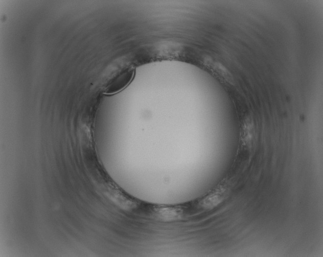 X0000067840522200604271623