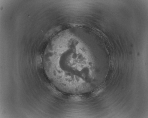 X0000067840523200604271623