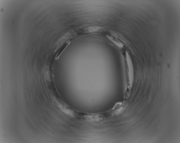 X0000067840524200604271623