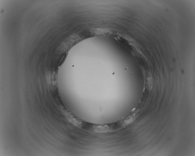 X0000067840525200604271623