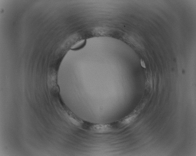 X0000067840526200604271623