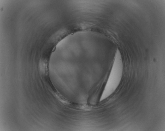 X0000067840527200604271623