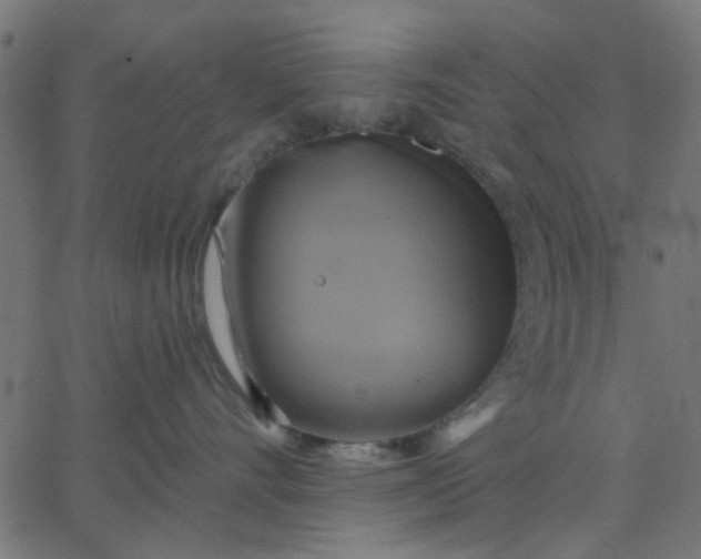 X0000067840528200604271623