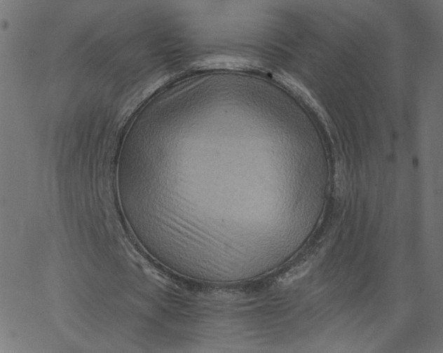 X0000067840529200604271622