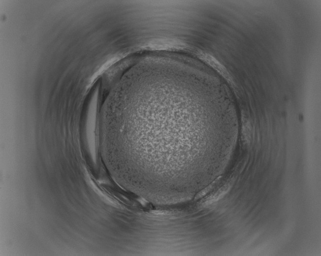 X0000067840530200604271622