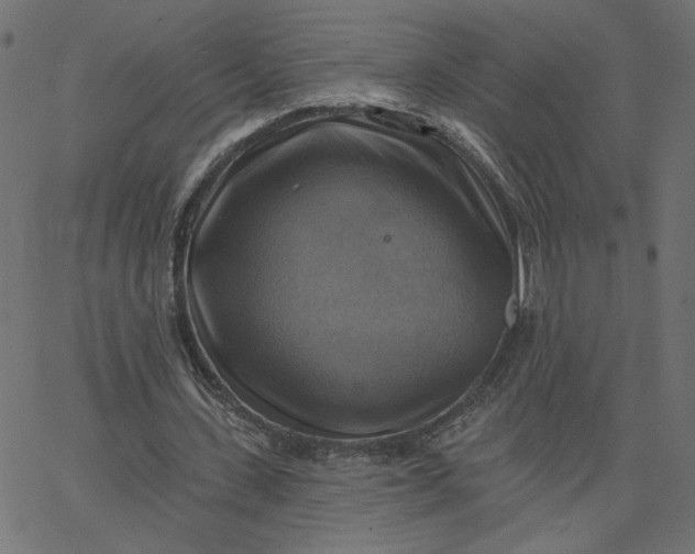 X0000067840531200604271622