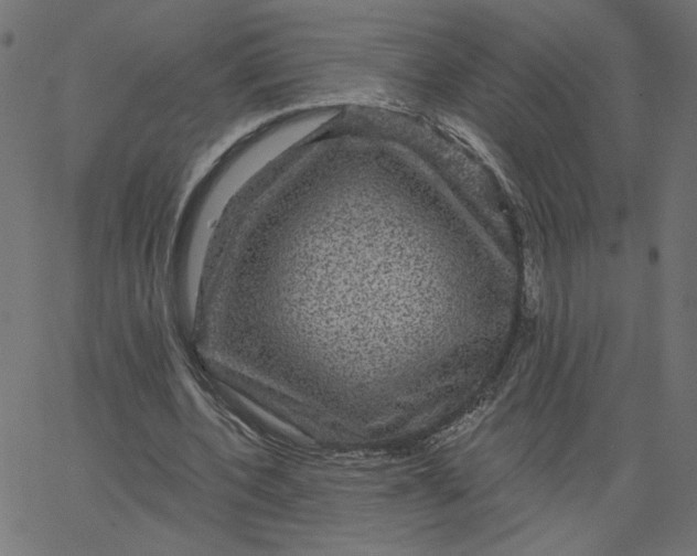 X0000067840532200604271622