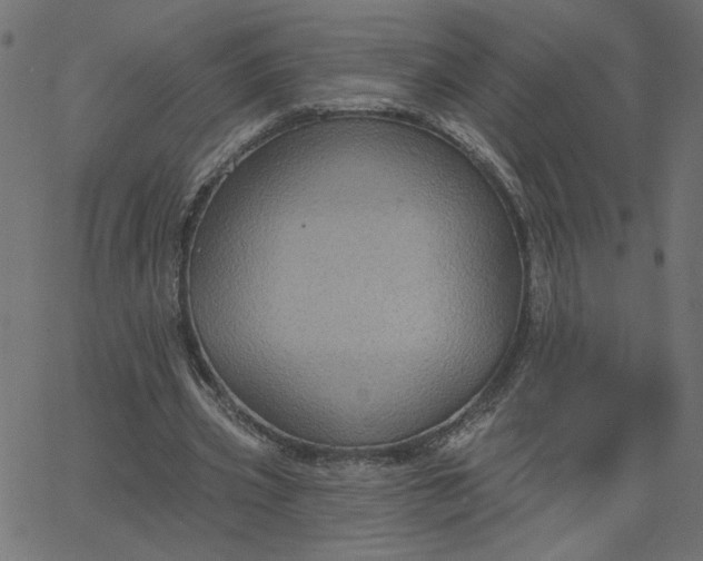 X0000067840533200604271622