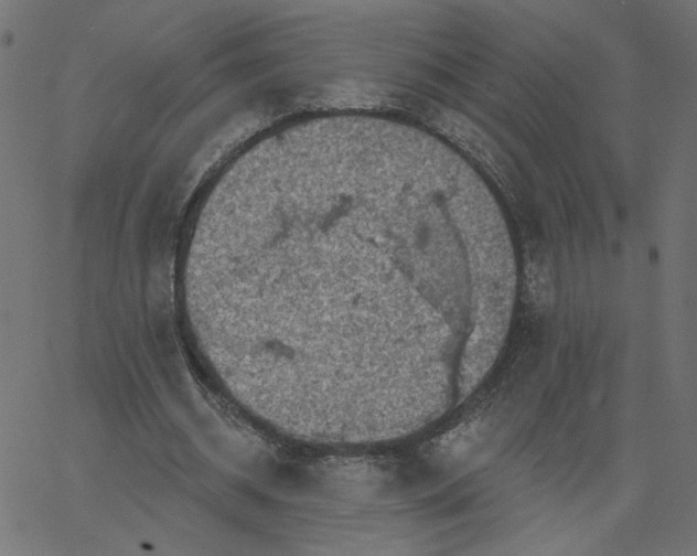 X0000067840534200604271622