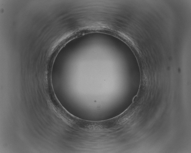 X0000067840535200604271622