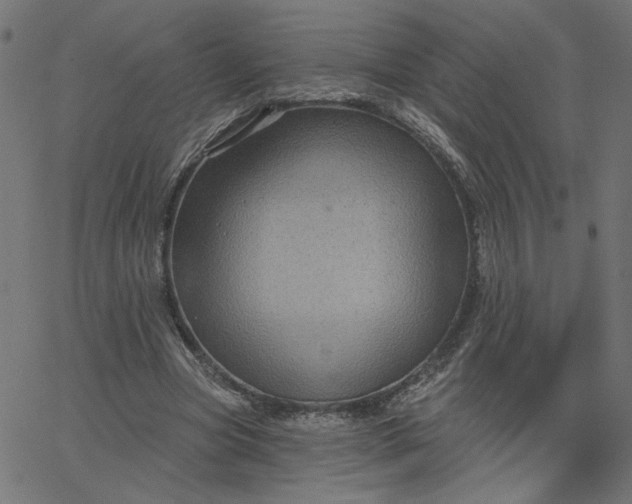 X0000067840537200604271622