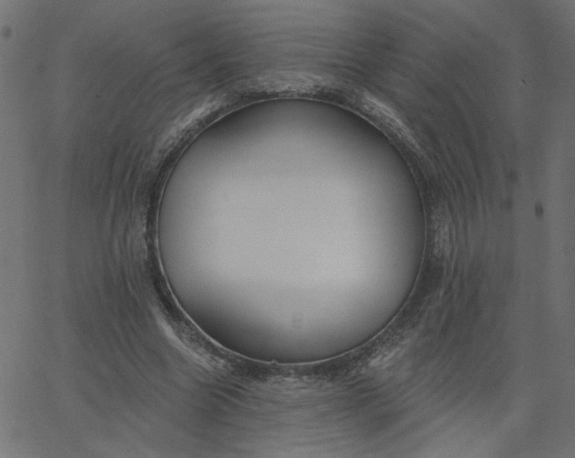 X0000067840538200604271622