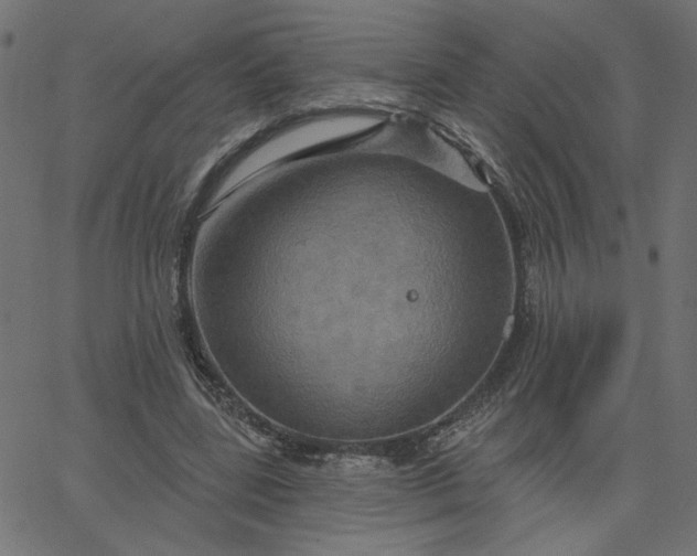 X0000067840539200604271622