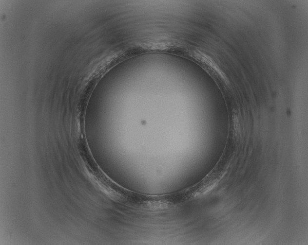 X0000067840541200604271622