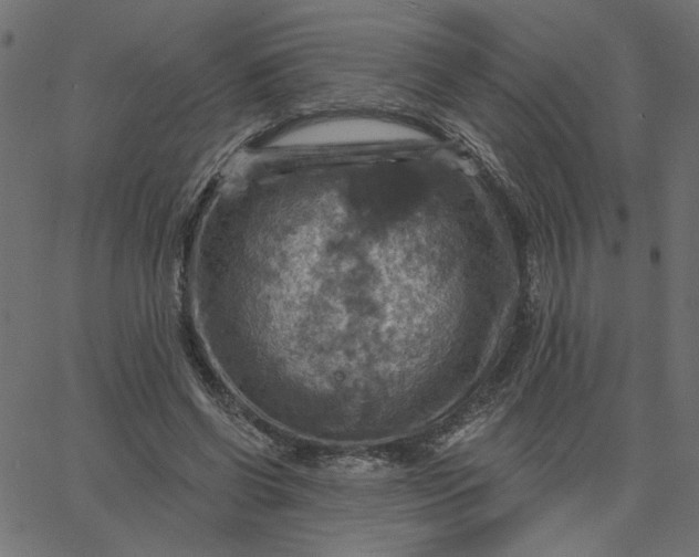 X0000067840542200604271622