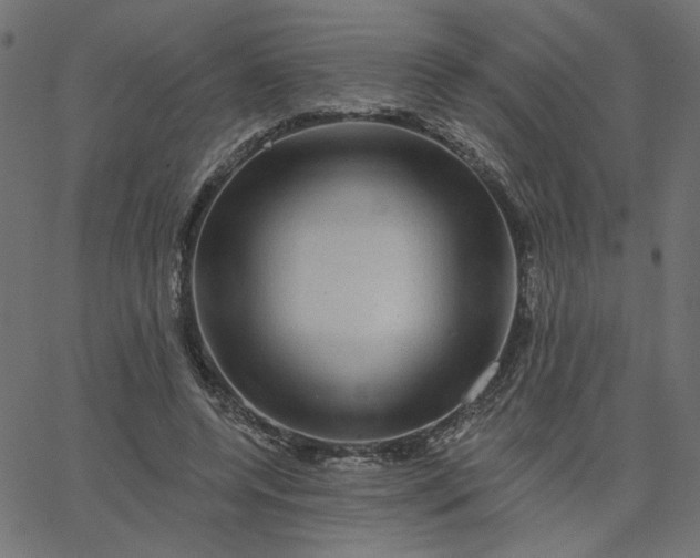 X0000067840544200604271622