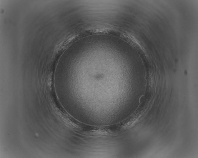 X0000067840545200604271622