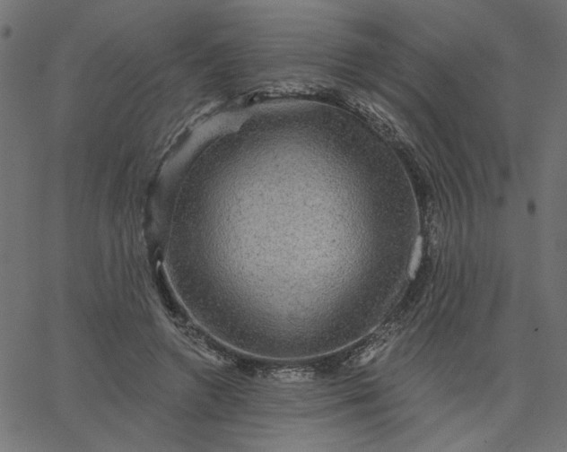 X0000067840546200604271622