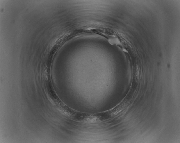 X0000067840547200604271622