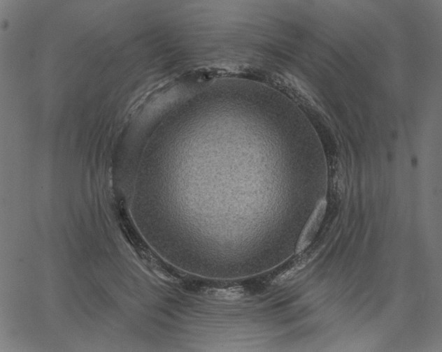 X0000067840548200604271622