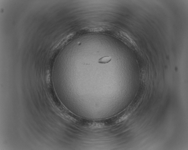 X0000067840549200604271622