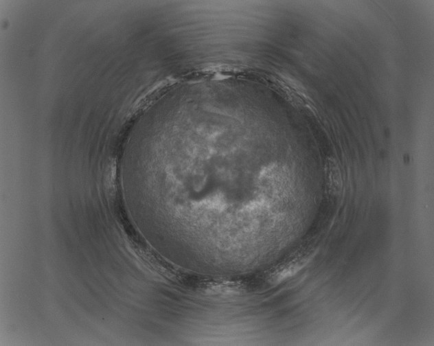 X0000067840550200604271622