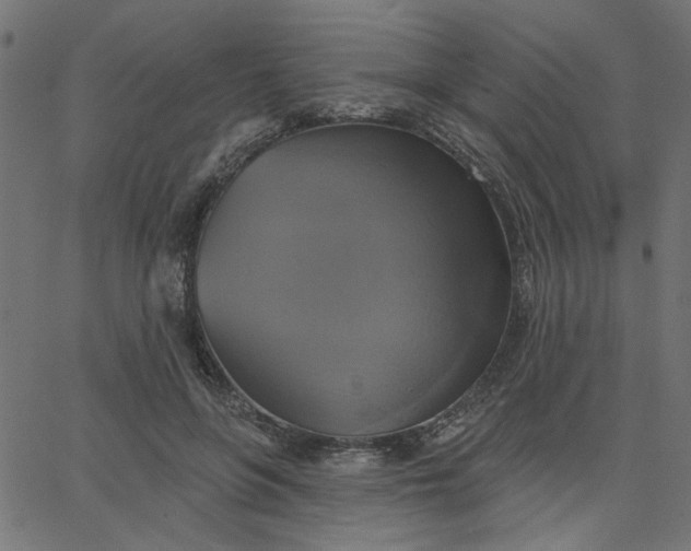 X0000067840551200604271622