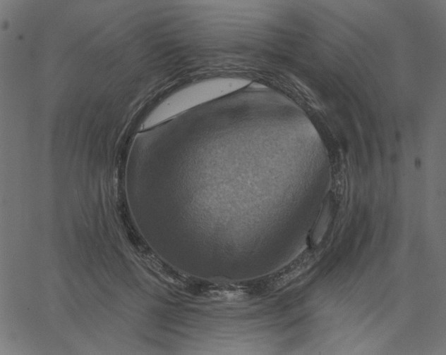 X0000067840552200604271622