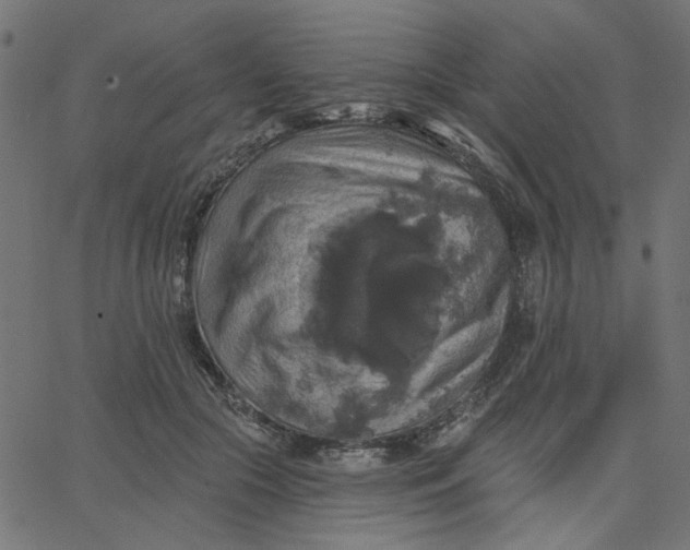 X0000067840553200604271622