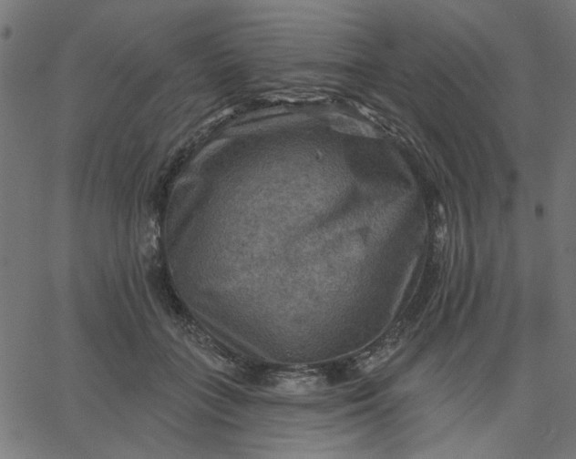 X0000067840555200604271622