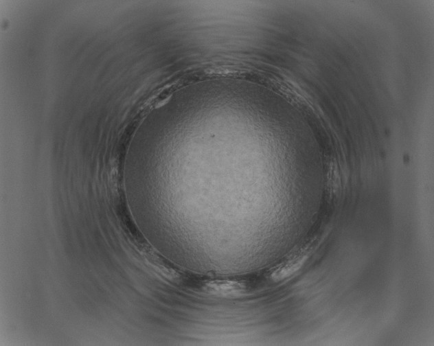 X0000067840557200604271622