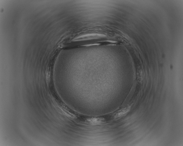 X0000067840558200604271622