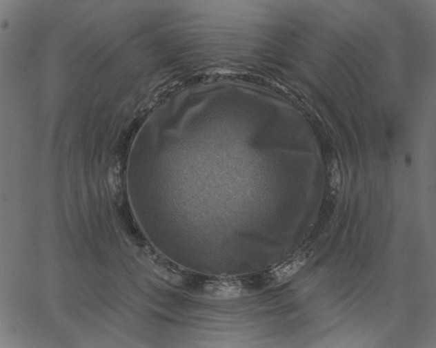 X0000067840559200604271622