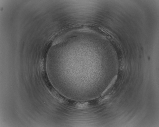 X0000067840560200604271622