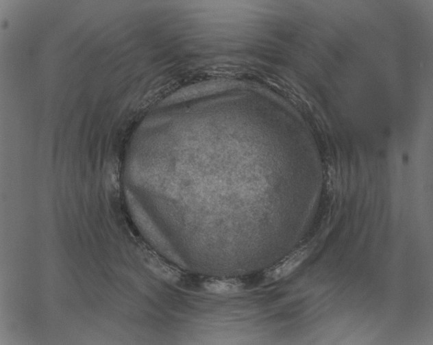 X0000067840561200604271622