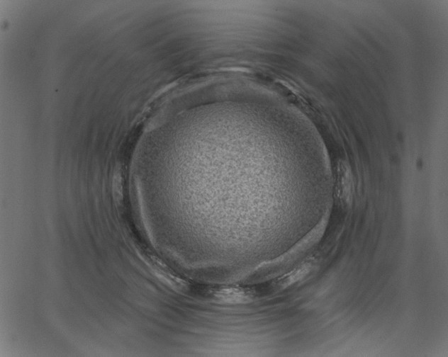 X0000067840562200604271622