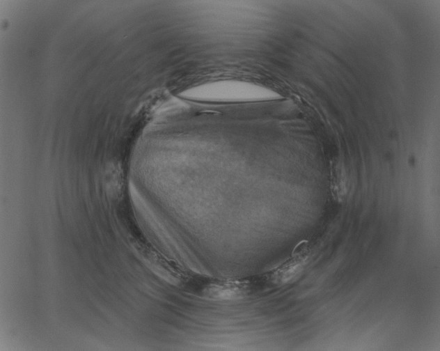 X0000067840563200604271622