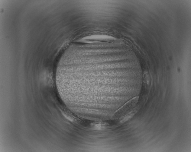 X0000067840564200604271622