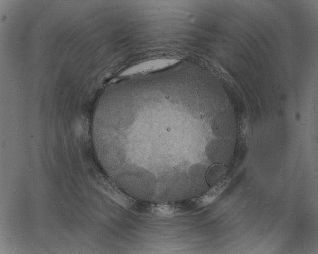 X0000067840565200604271622