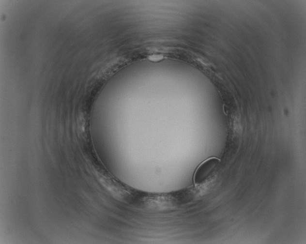 X0000067840567200604271622