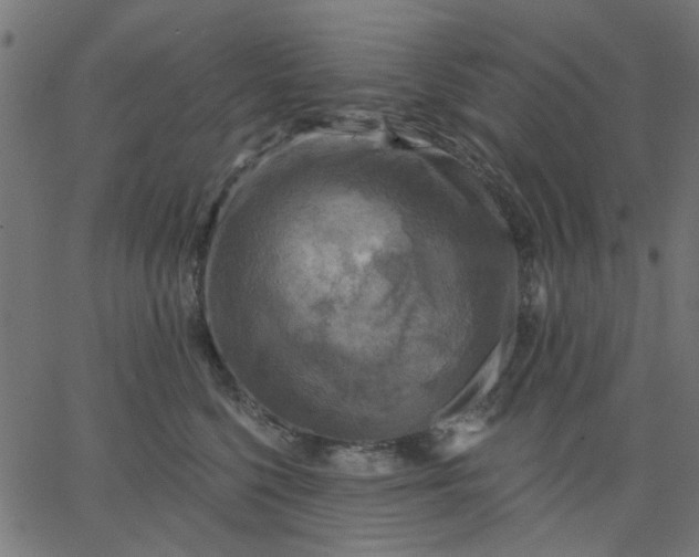 X0000067840568200604271622