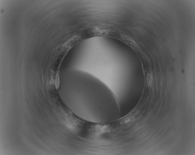 X0000067840570200604271622