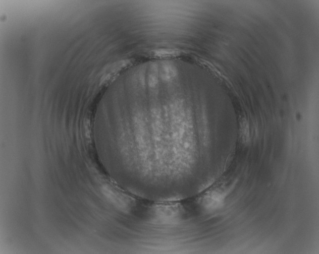 X0000067840571200604271623