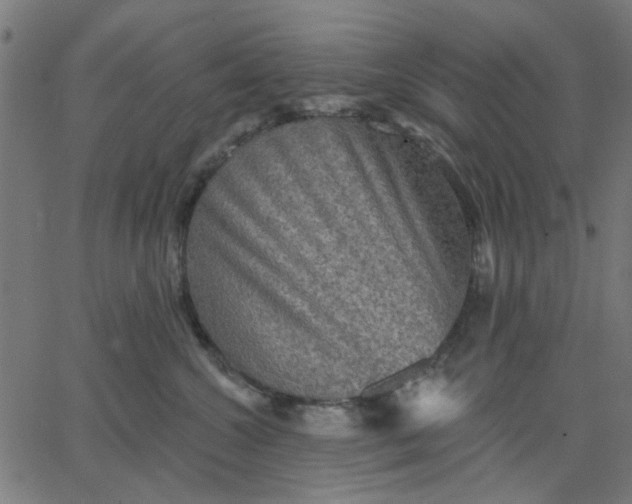 X0000067840572200604271623