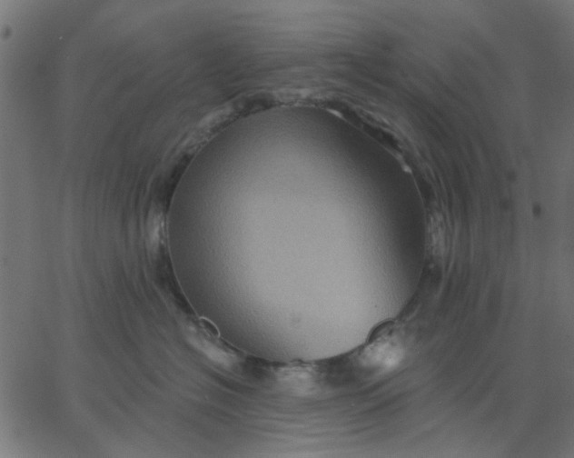 X0000067840574200604271623